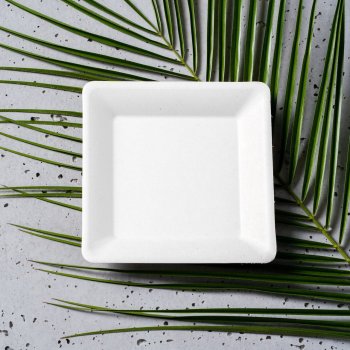 Talerz z trzciny cukrowej kwadratowy 15,5x15,5 cm biały