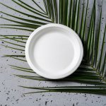 Talerz biały okrągły średnica 18 cm z trzciny cukrowej