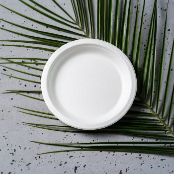 Talerze z trzciny cukrowej białe średnica 18 cm - 50 sztuk