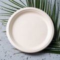 ekologiczny talerz owalny z trzciny cukrowej 32x25cm 10szt