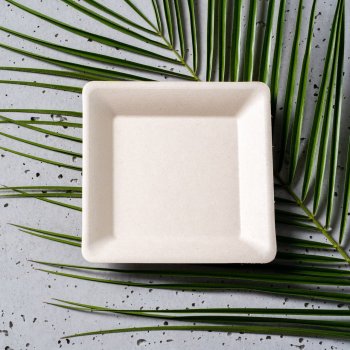 Talerz kwadratowy 15,5x15,5 cm z trzciny cukrowej Natural