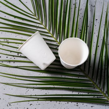 Kubek EKO z trzciny cukrowej 200 ml biały - 100% biodegradowalny